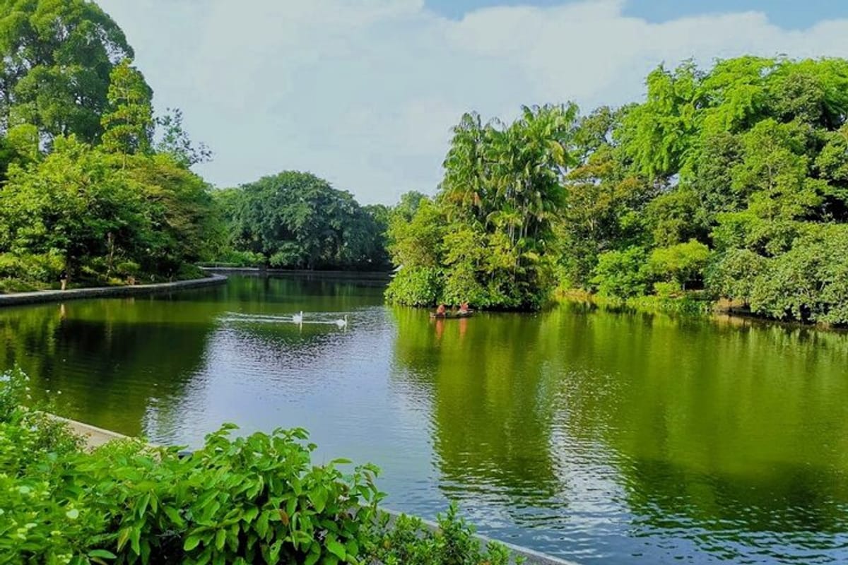 Singapore Botanic Gardens
