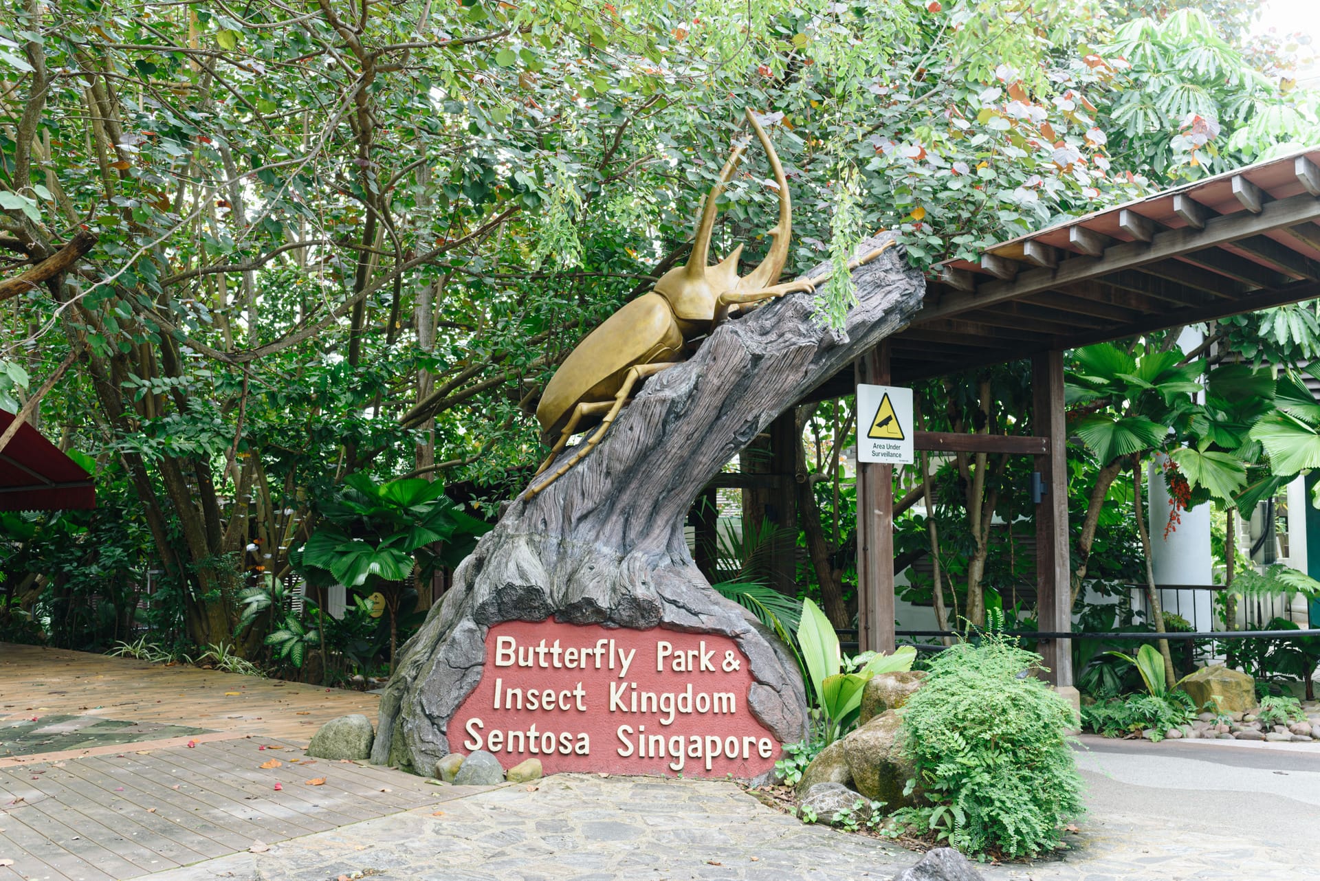 Experience a lively world of free-flying butterflies and intriguing insects at Sentosa's Butterfly Park & Insect Kingdom perfect for family adventures amid lush greenery.