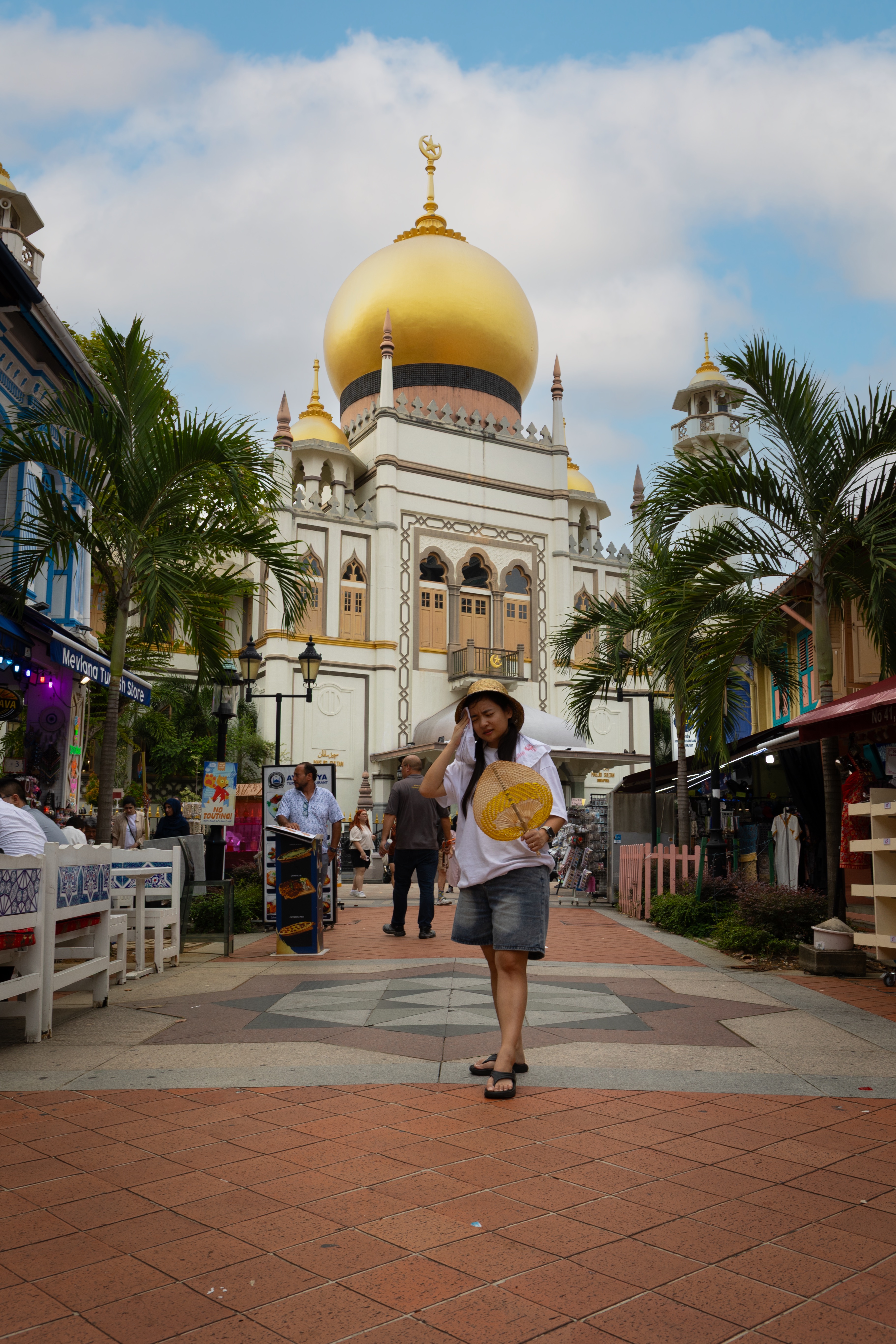 A Blend of Culture & Sights: Harmony Walk & Heritage Tour - Photo 1 of 9