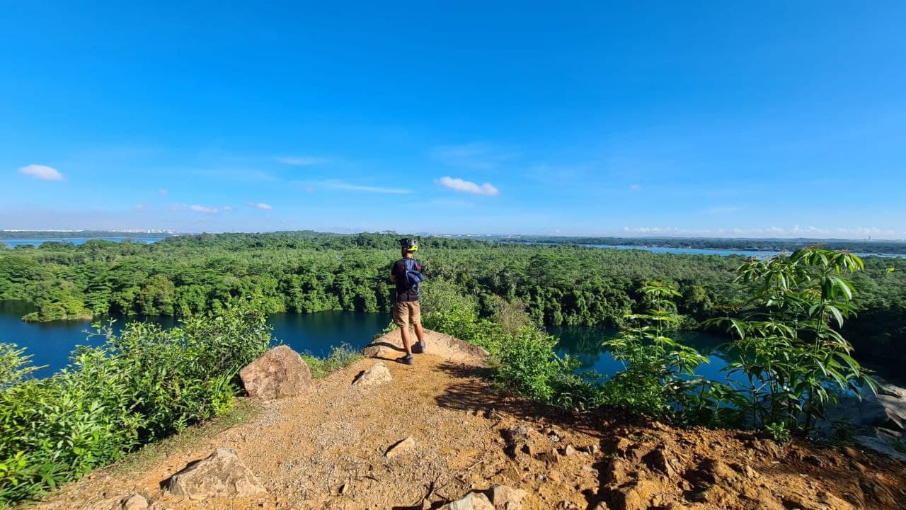 Experience the stunning views from the Chestnut Nature Park Tower after an exhilarating mountain bike ride through Singapore's lush trails surrounded by serene landscapes and scenic waterways.