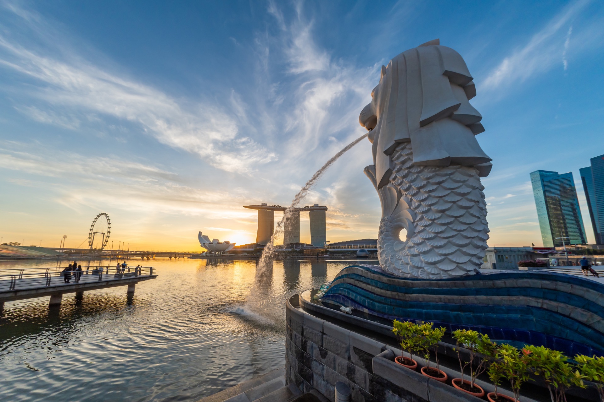 Singapore Half Day City Sightseeing Guided Tour - Photo 1 of 5
