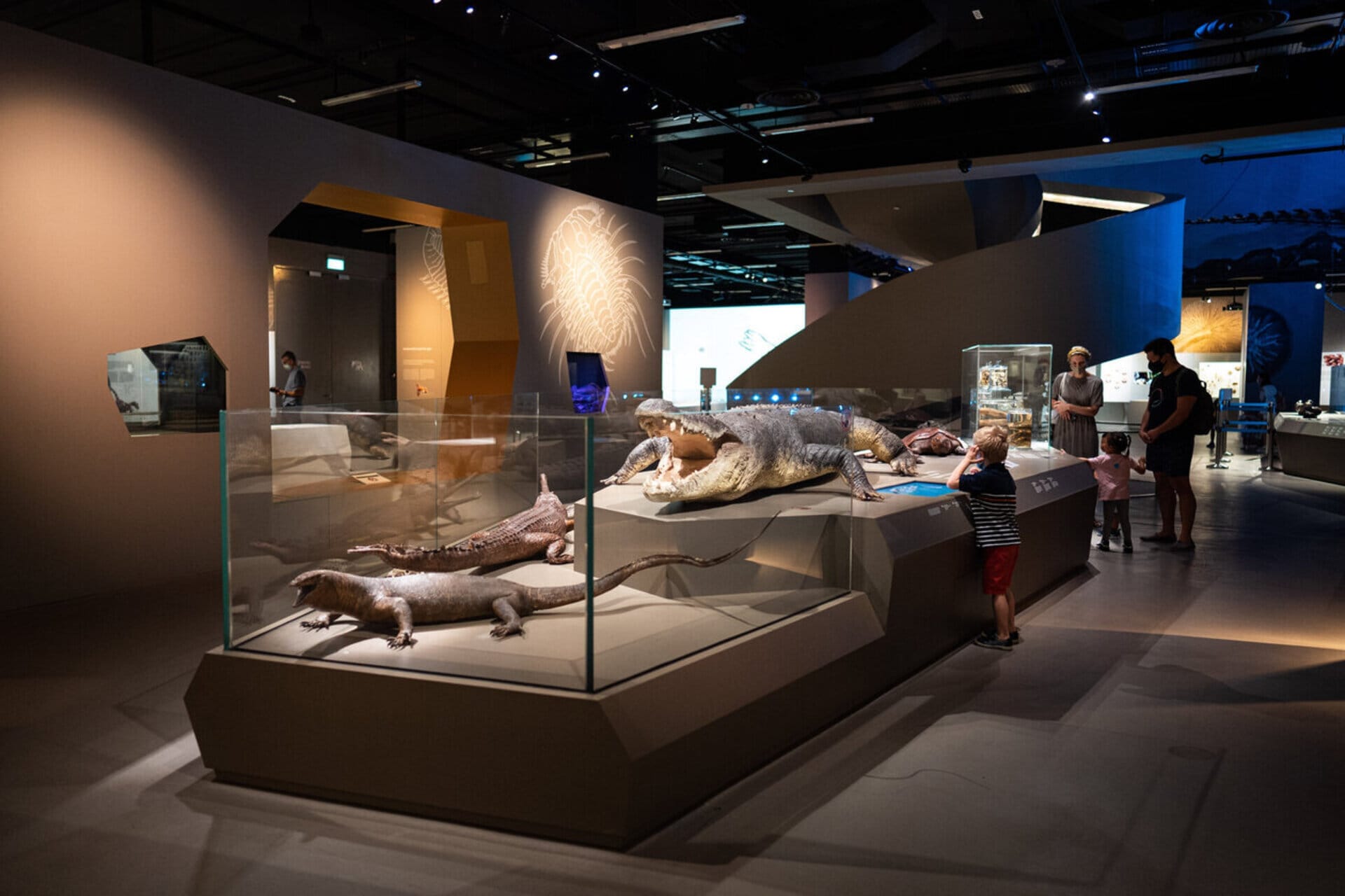 シンガポール の リー・コンチアン自然史博物館のチケット | Pelago