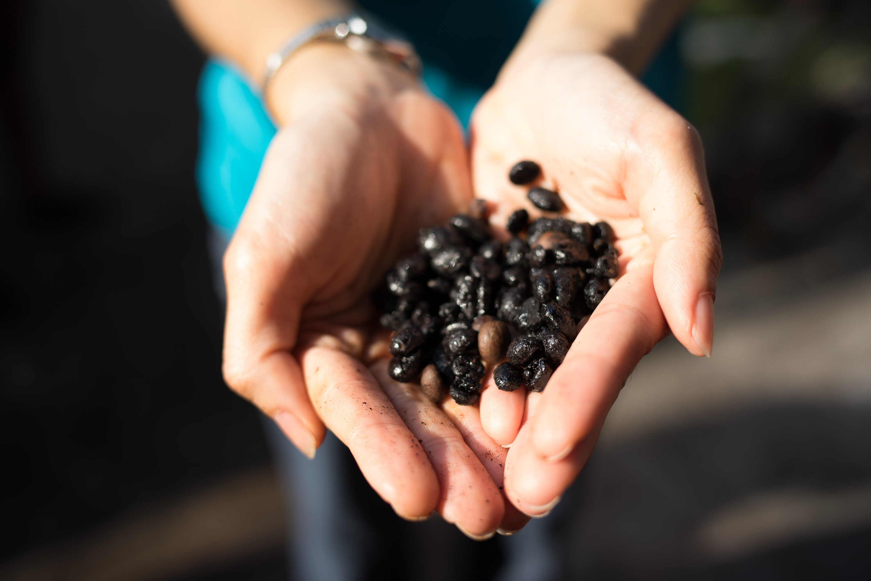 Explore the rich textures of freshly roasted coffee beans uncovering the craftsmanship and traditions behind Singapore's local coffee culture in an intimate setting. Experience the passion in every cup.