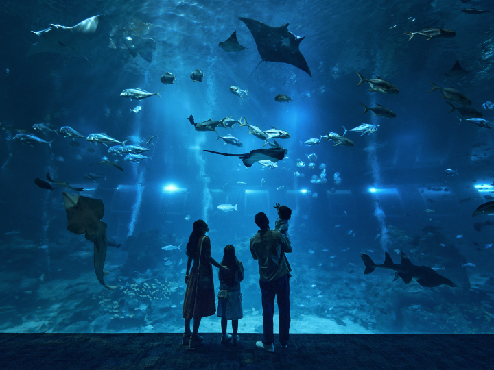 Singapore Oceanarium Tickets - Photo 1 of 9