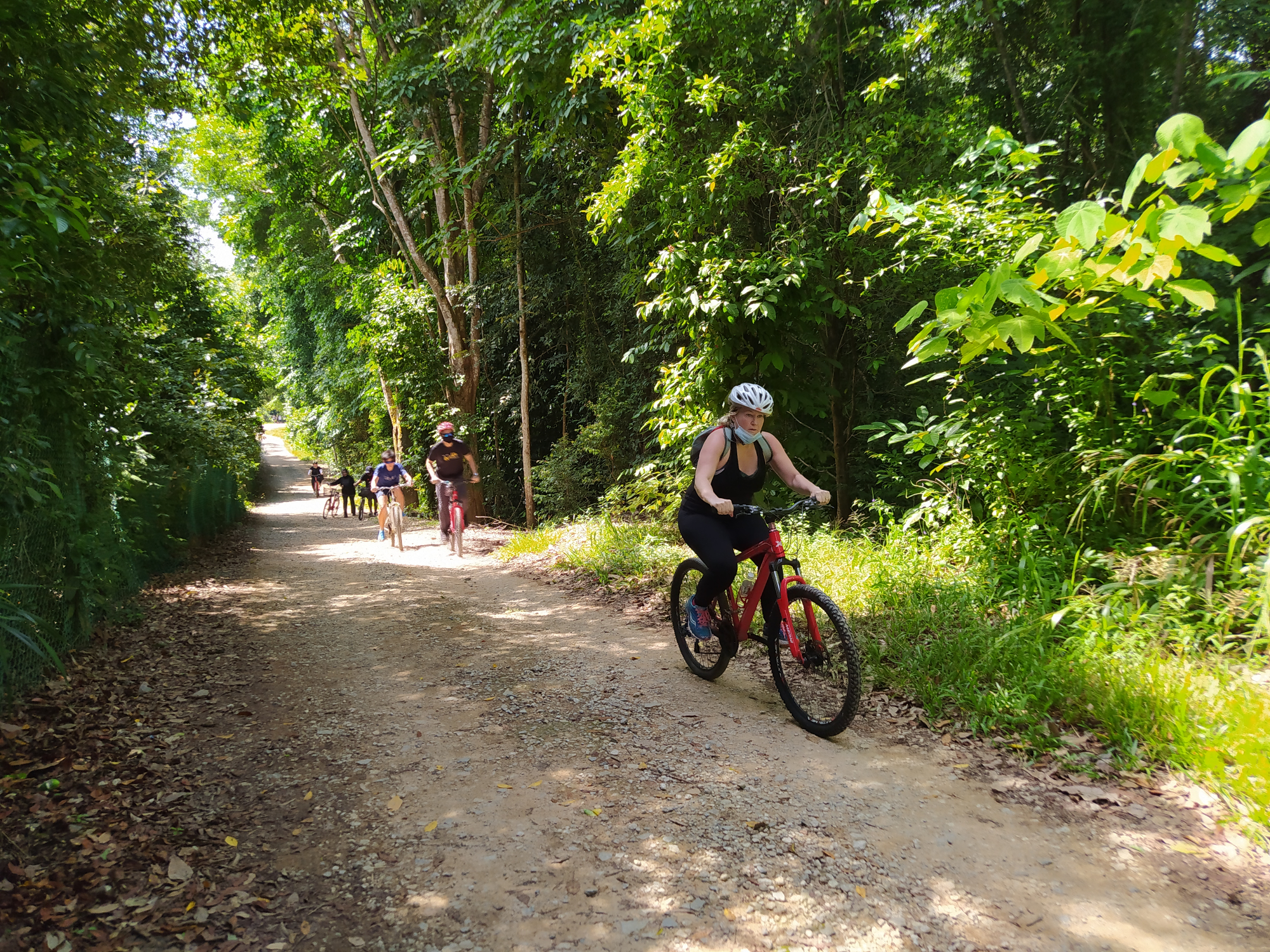 Singapore Scenic Bike Routes Near Me Pulau Ubin Bike Trail