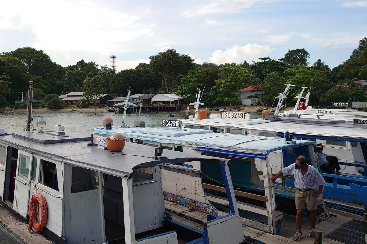 Experience the natural beauty of Pulau Ubin as you embark on a guided tour exploring diverse ecosystems and witnessing unique wildlife on this hidden gem of Singapore.