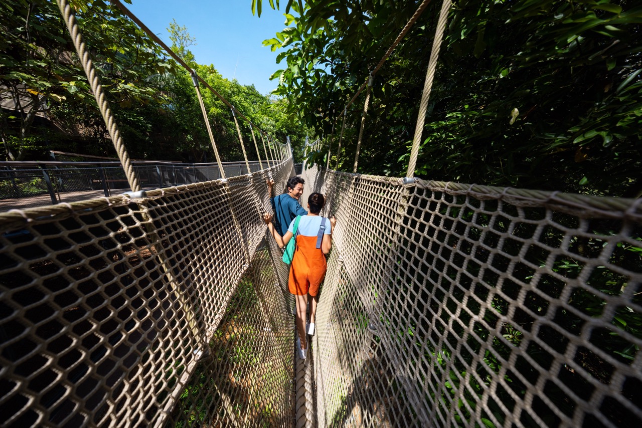 0416-0705_tiger-bridge_hr-