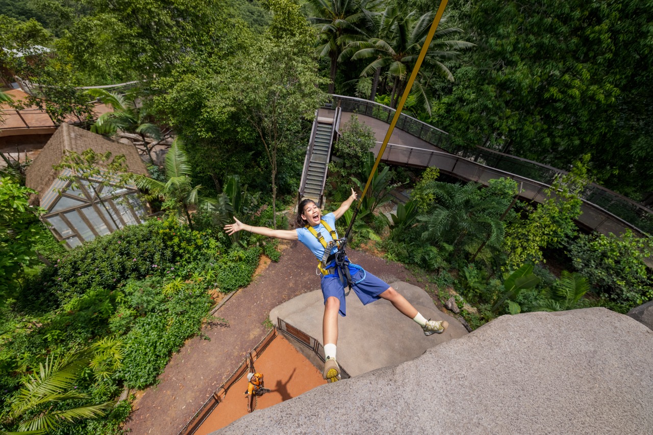 Rainforest Wild Adventure Tickets | Mandai Wildlife Reserve - Photo 1 of 12