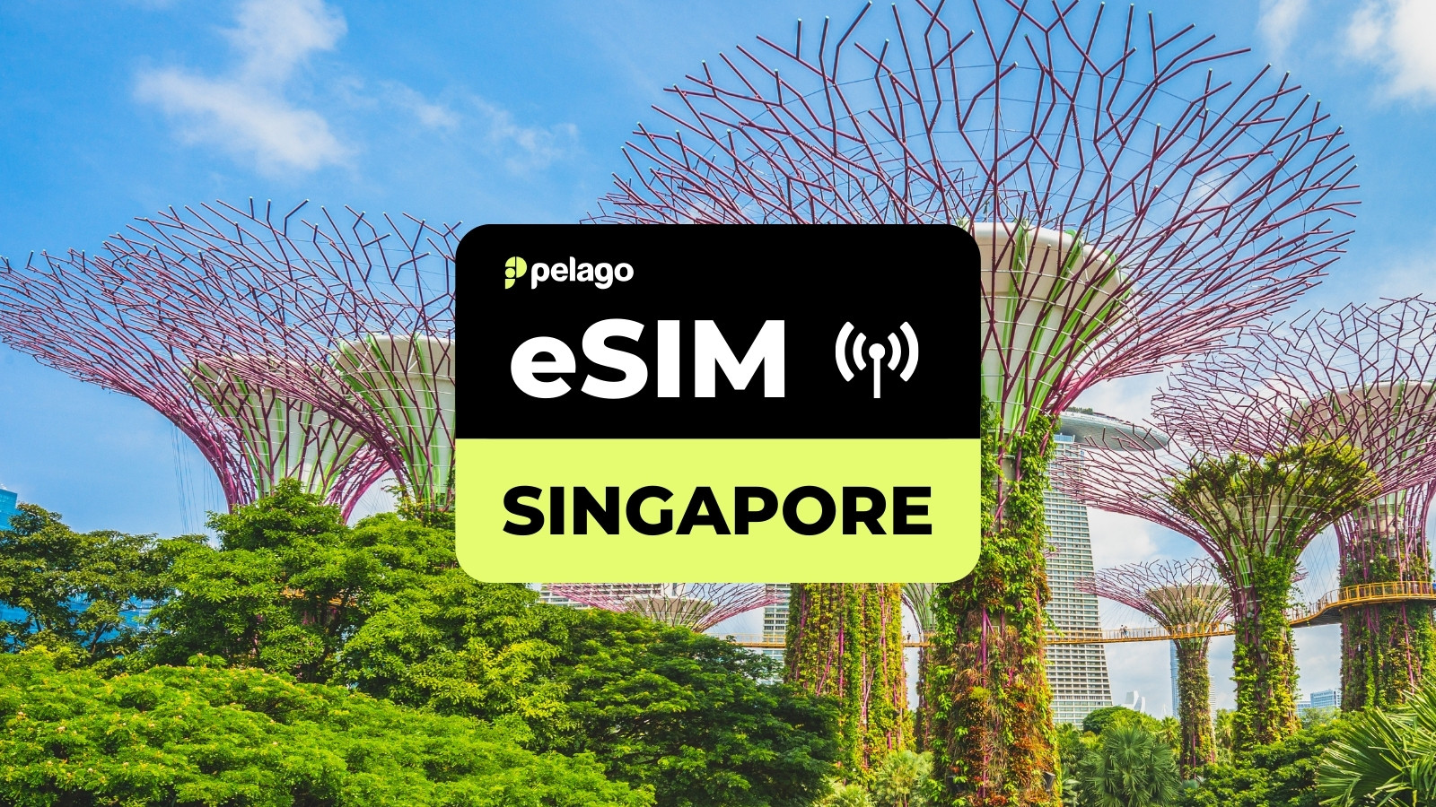 Singapore eSIM by Pelago - Photo 1 of 1