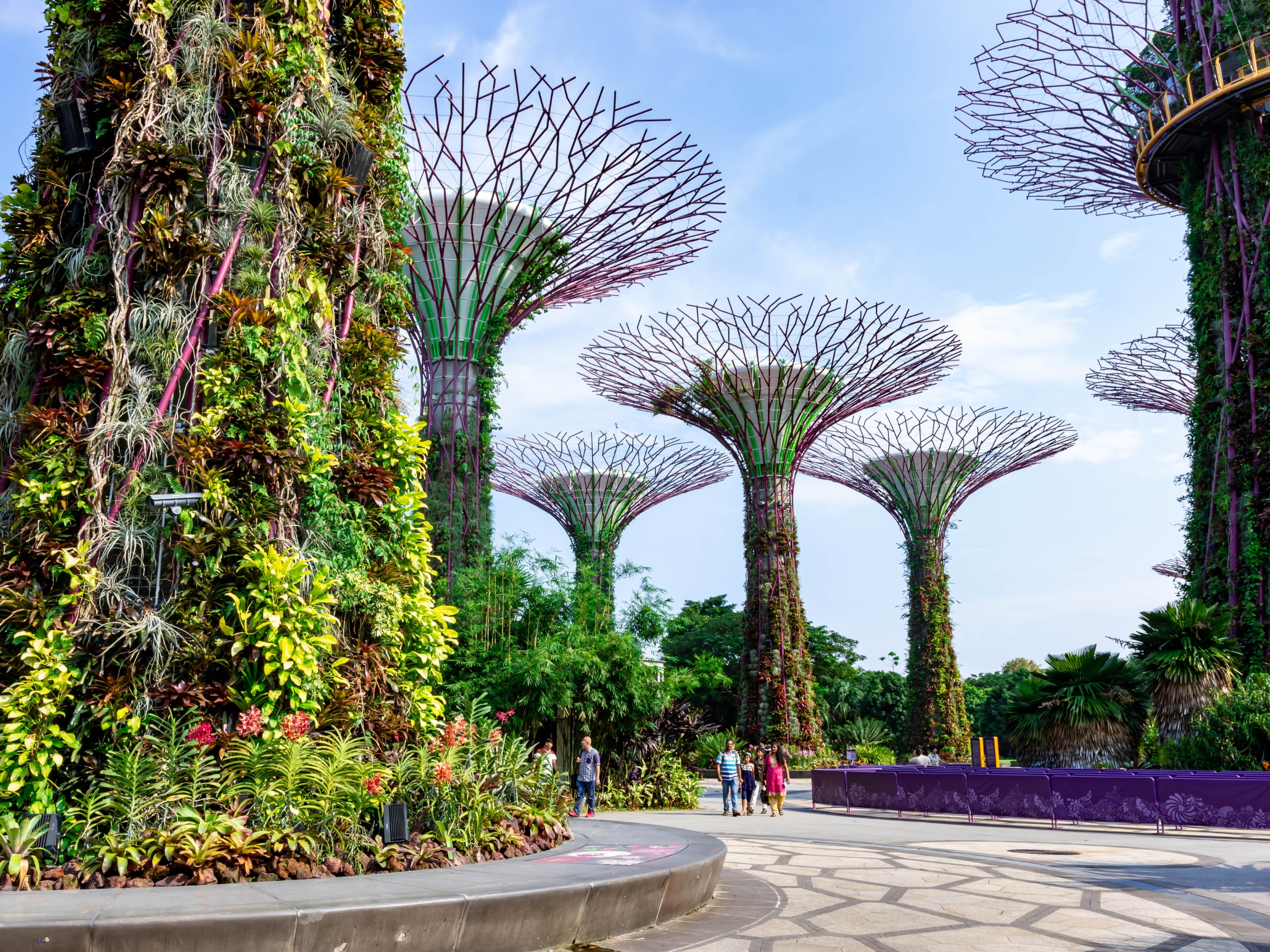Experience Singapore's innovative blend of nature and architecture at Gardens by the Bay. Discover unique plant species stunning structures and engaging stories of sustainability throughout the city.