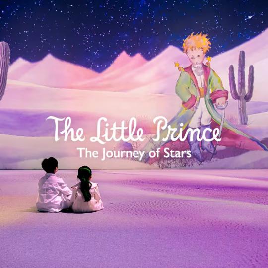 The Little Prince: The Journey of Stars - Photo 1 of 1
