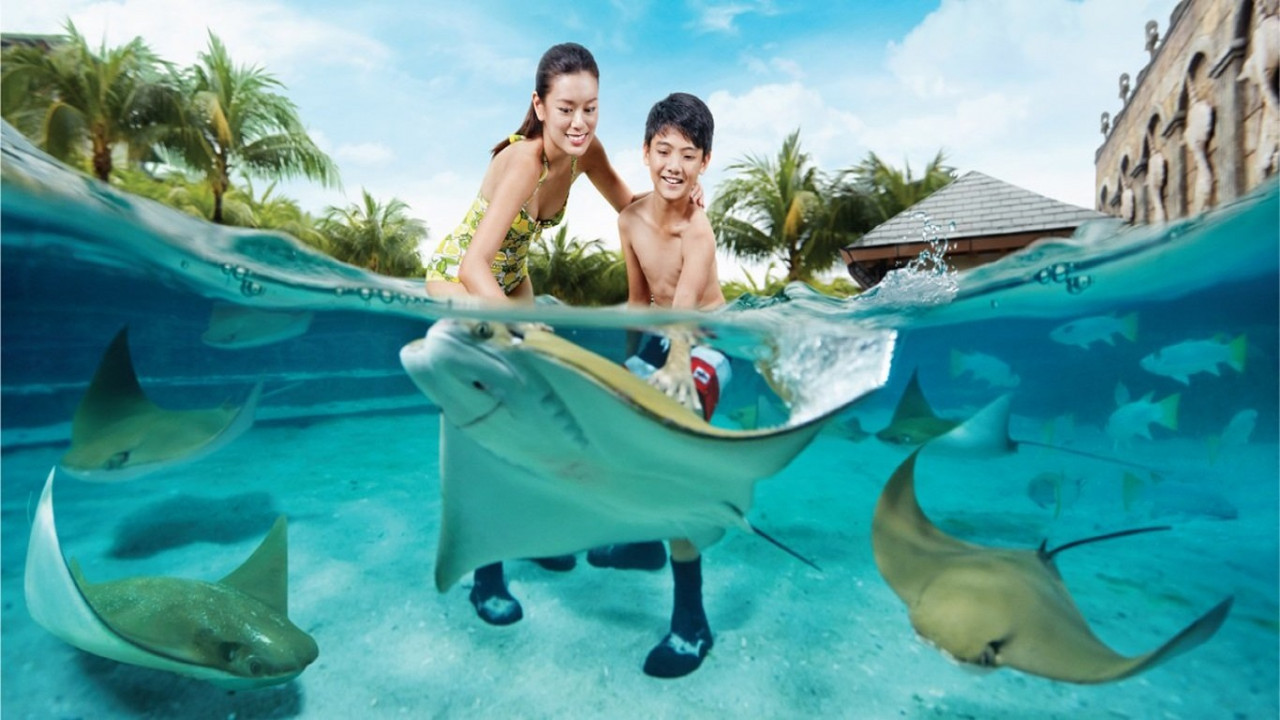 Experience the joy of interacting with rays in a serene aquamarine setting perfect for creating unforgettable memories with family while exploring the wonders of marine life.
