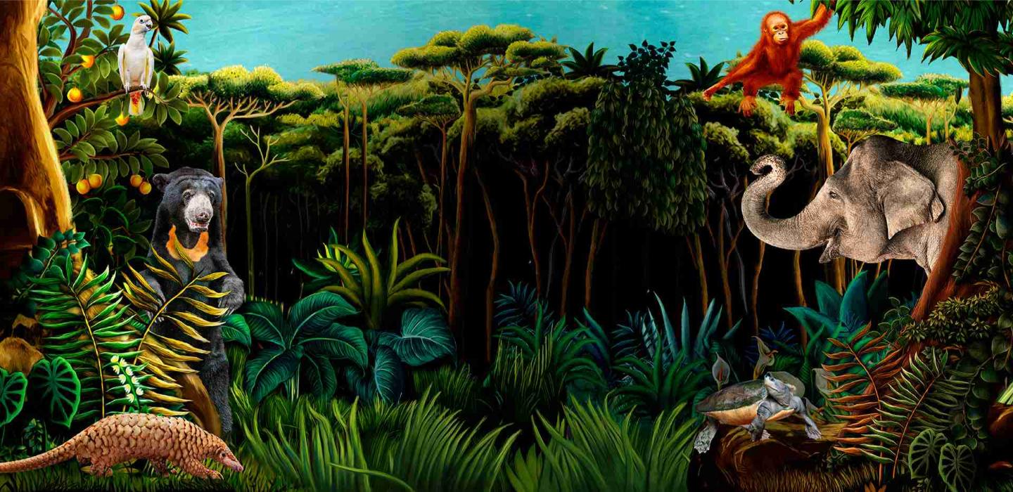 Wanderjoy - Mandai Wildlife Reserve - Photo 1 of 1