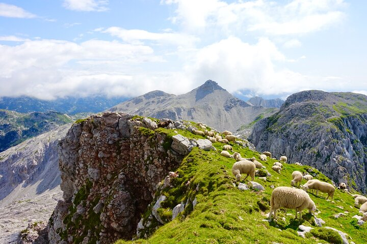 3-Day Private Trekking Adventure from Bohinj to Soča Valley - Photo 1 of 11