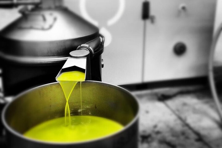 Lisjak Olive Estates Private Tour with Olive Oil Tasting - Photo 1 of 13