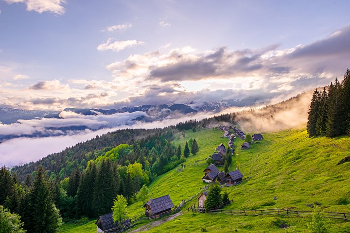 Romantic late afternoon light