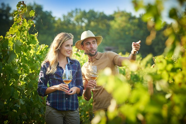 Private tour of Slovenian Kras from Ljubljana - Photo 1 of 7