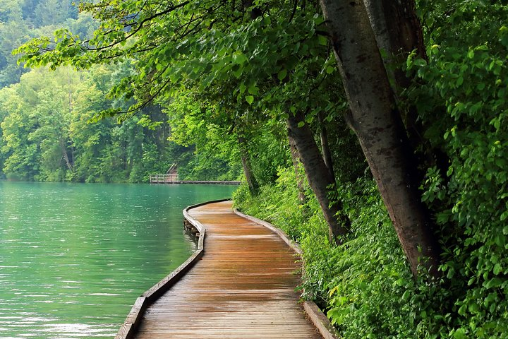Slovenia in One Day: Small-Group Bled, Postojna Cave & Predjama - Photo 1 of 11