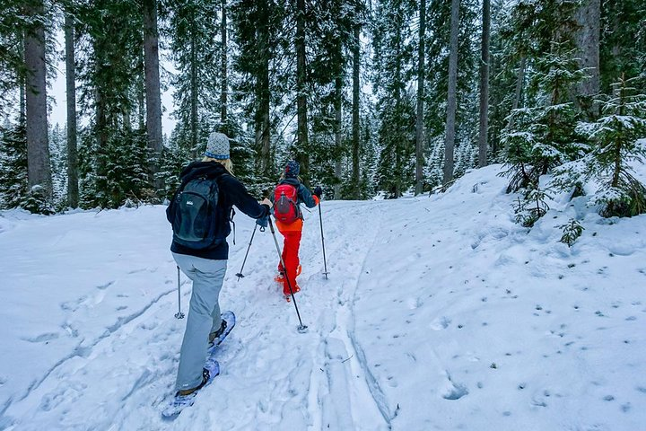 Snowshoeing in Triglav national park - Photo 1 of 4