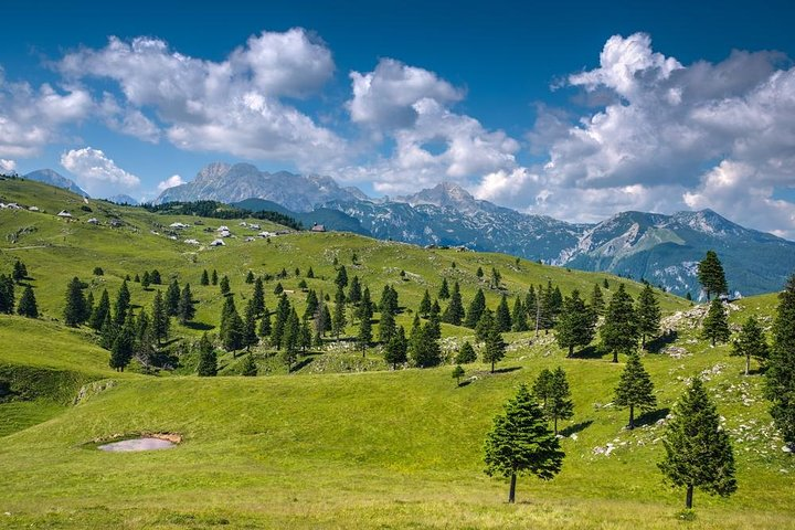 Tour of Kamnik & Velika Planina from Bled - Photo 1 of 3