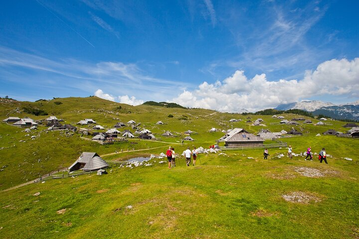 Velika planina and Logarska dolina with picnic (private tour) - Photo 1 of 6