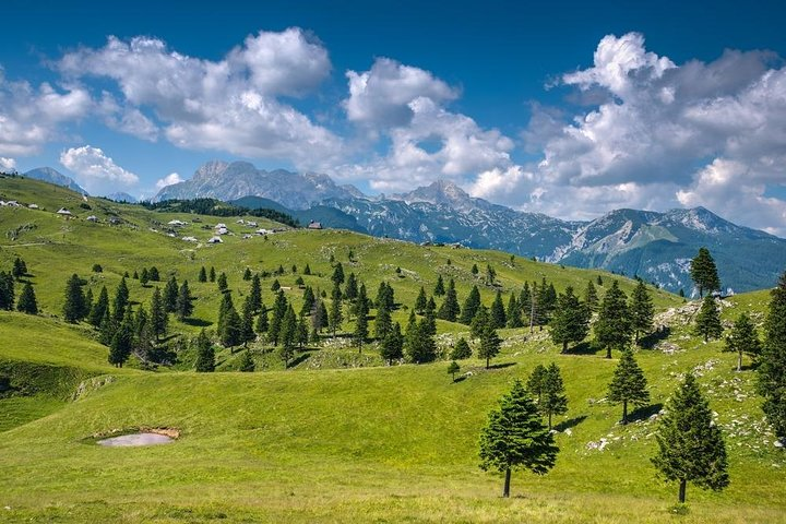Velika Planina private hiking trip from Ljubljana - Photo 1 of 3