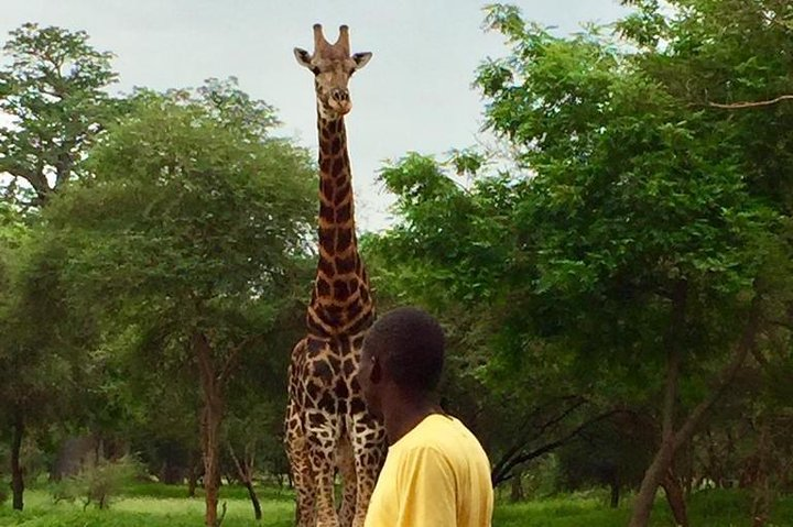 Bandia Park And Pink Lake - Photo 1 of 11