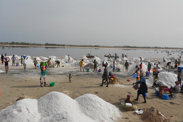 Experience Dakar-Goree-Pink Lake-Safari tour in 2 days - Photo 1 of 14