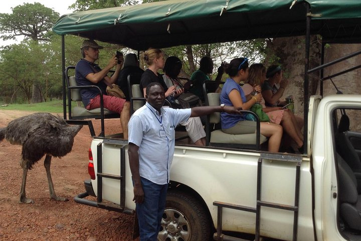 Full-day Bandia / Somone Lagoon: The safari experience - Photo 1 of 15