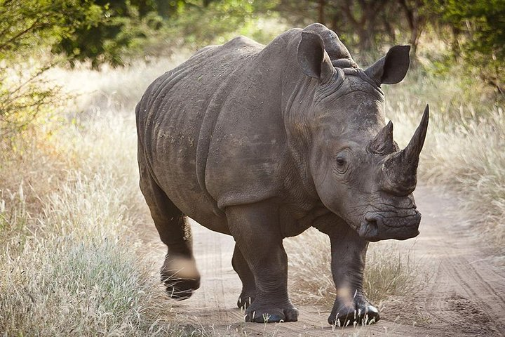 Pink Lake - Lompoul. Saint-Louis-Djoudj. Bandia-Somone - Photo 1 of 3