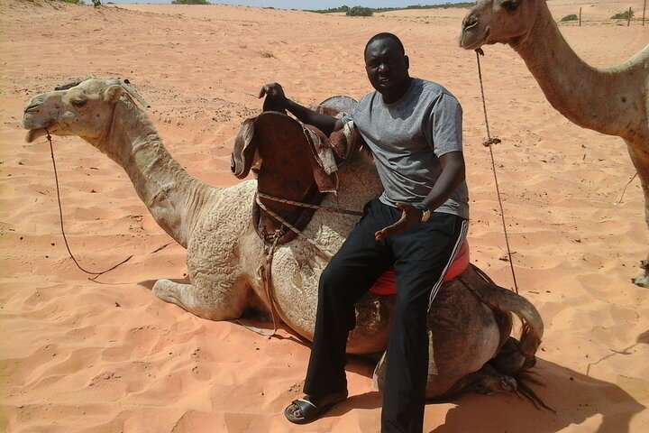 Camel ride in the middle of the desert