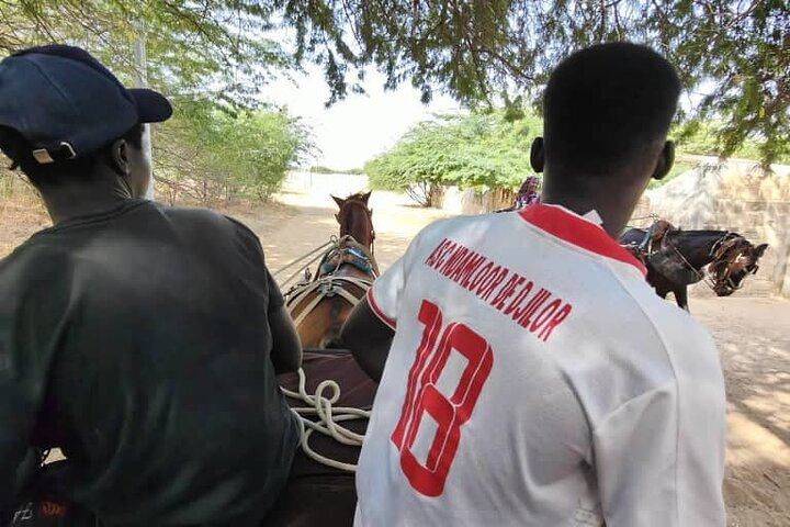 Private and Guided Excursion to the Kingdom of Sine and Saloum - Photo 1 of 6