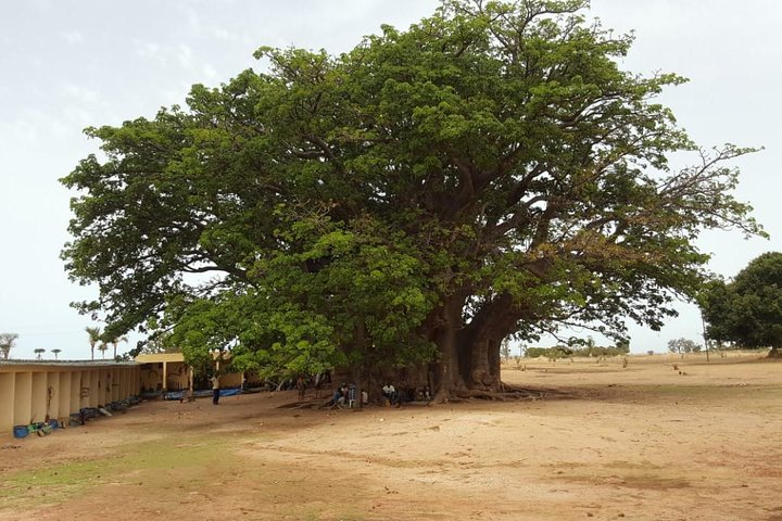 Saint Louis with Lompoul desert 3 days. - Photo 1 of 15