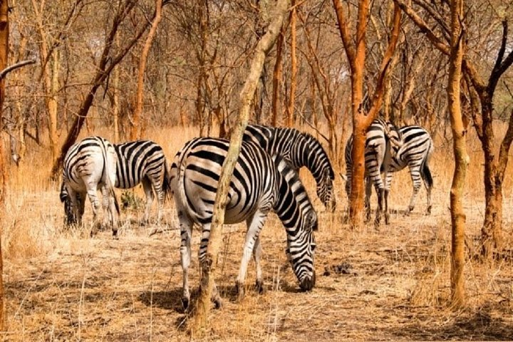 Sene - Gambia Culture & People - 10 Days - Photo 1 of 5