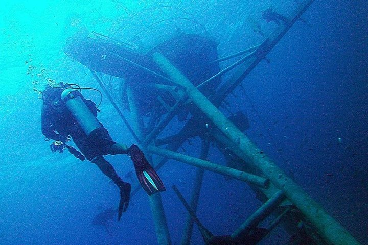 1-Day Adventure in Diving  - Photo 1 of 8