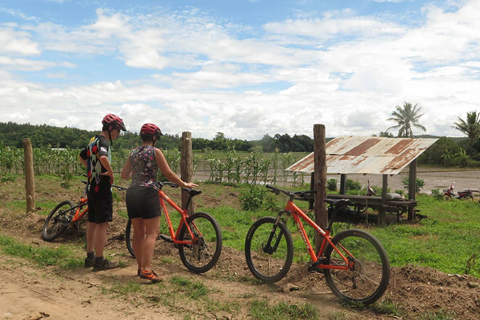 1-Day Countryside Bike Tour from Chiang Mai | Thailand - Photo 1 of 10