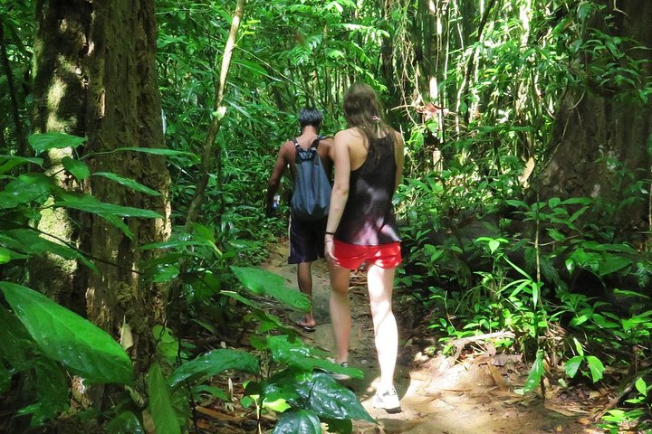 Experience the serenity of Khao Sok National Park as you trek through lush rainforests discovering unique wildlife and vibrant flora alongside an expert guide on an unforgettable adventure.