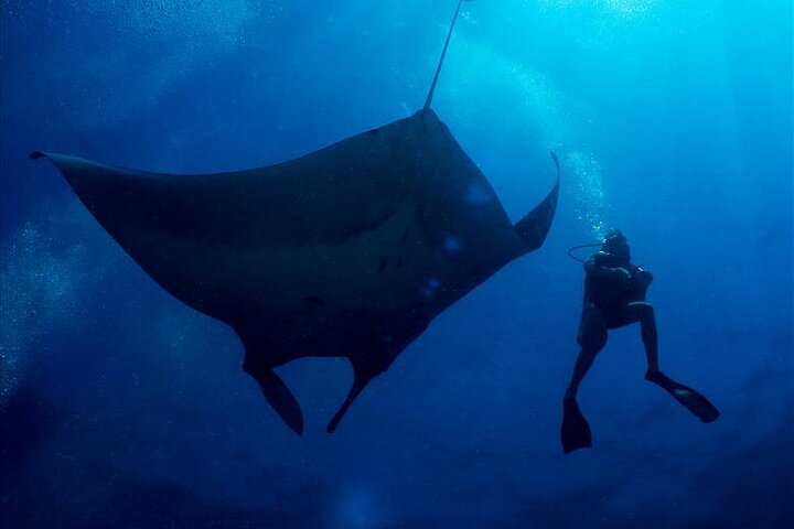 2-Day Similans Scuba Diving from Phuket - Photo 1 of 8