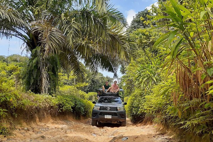 Explore the lush Koh Samui hills in a comfortable 4x4 uncovering hidden gems and stunning views while enjoying personalized adventures tailored to your preferences and desires.