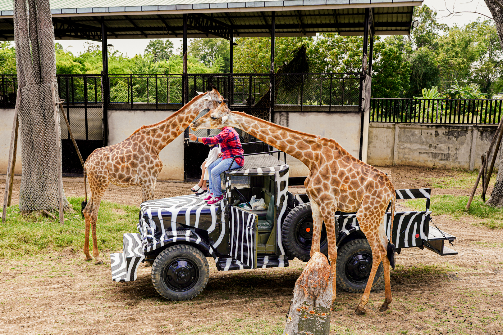 Adventure with Wildlife Sri Ayutthaya Lion Park, Thai Costume & Ancient Temples - Photo 1 of 10
