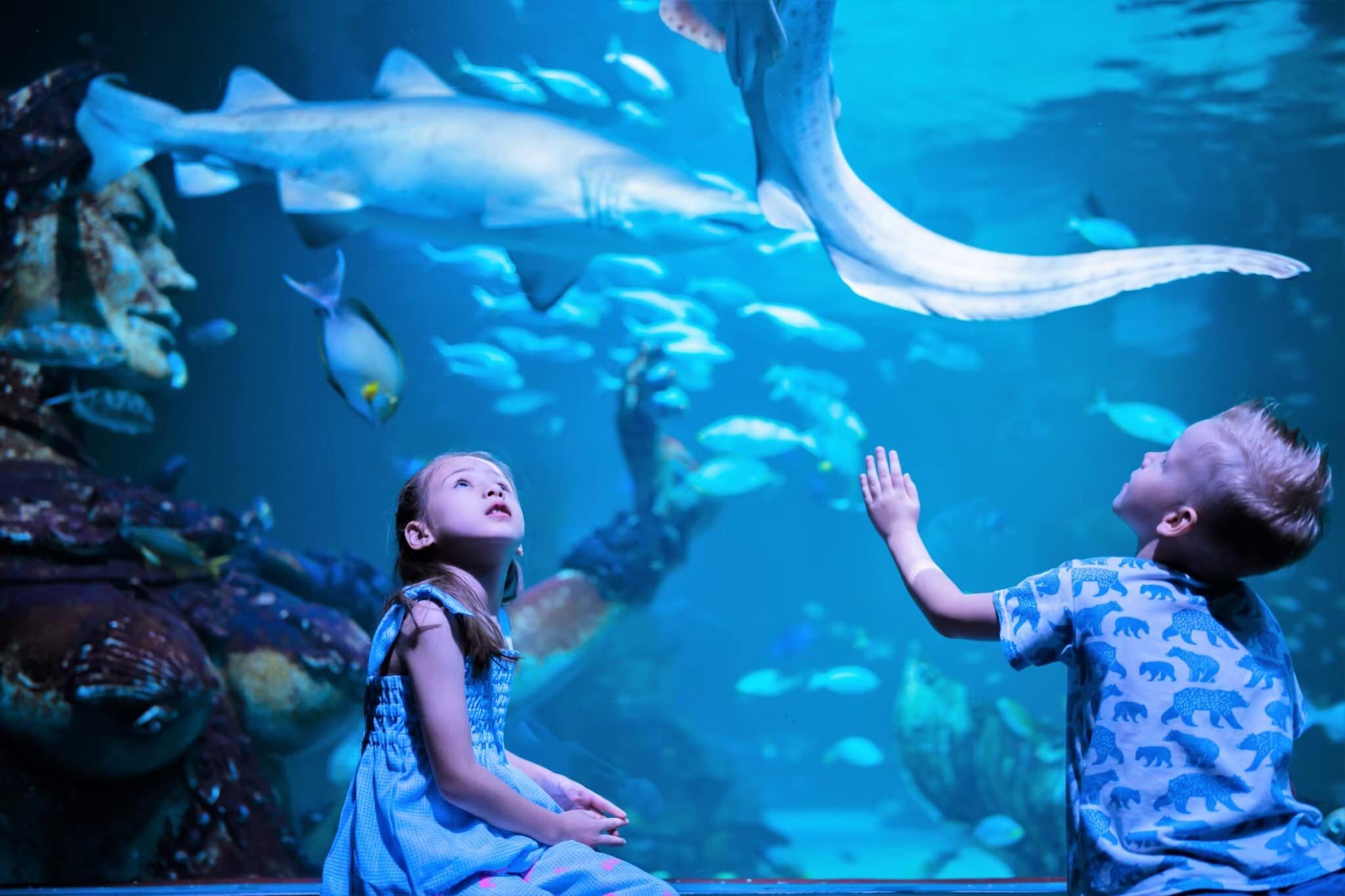 Experience the wonder of marine life as children interact with majestic creatures making unforgettable memories in Thailand's largest aquarium Aquaria Phuket and nearby Trick Eye Museum.