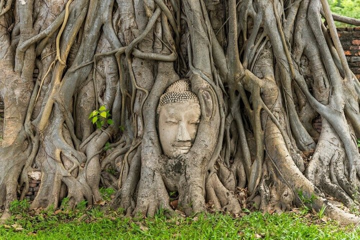 Bangkok to Ayutthaya UNESCO Temples & Bang Pa-In Palace Tour - Photo 1 of 19