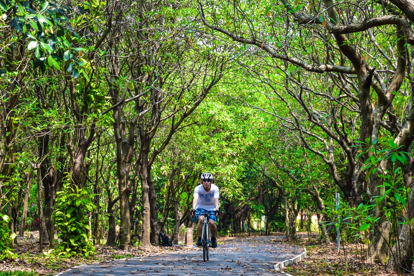 Breathe in the fresh air as you cycle through lush greenery on winding paths leaving the city’s chaos behind. Experience tranquility amidst nature in Bangkok's hidden gem Bang Kachao.