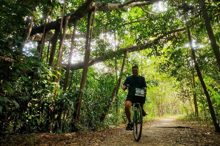 Experience the lush trails of Bangkachao on a delightful bike journey uncovering hidden gems while enjoying local snacks and a soothing foot massage along the way.