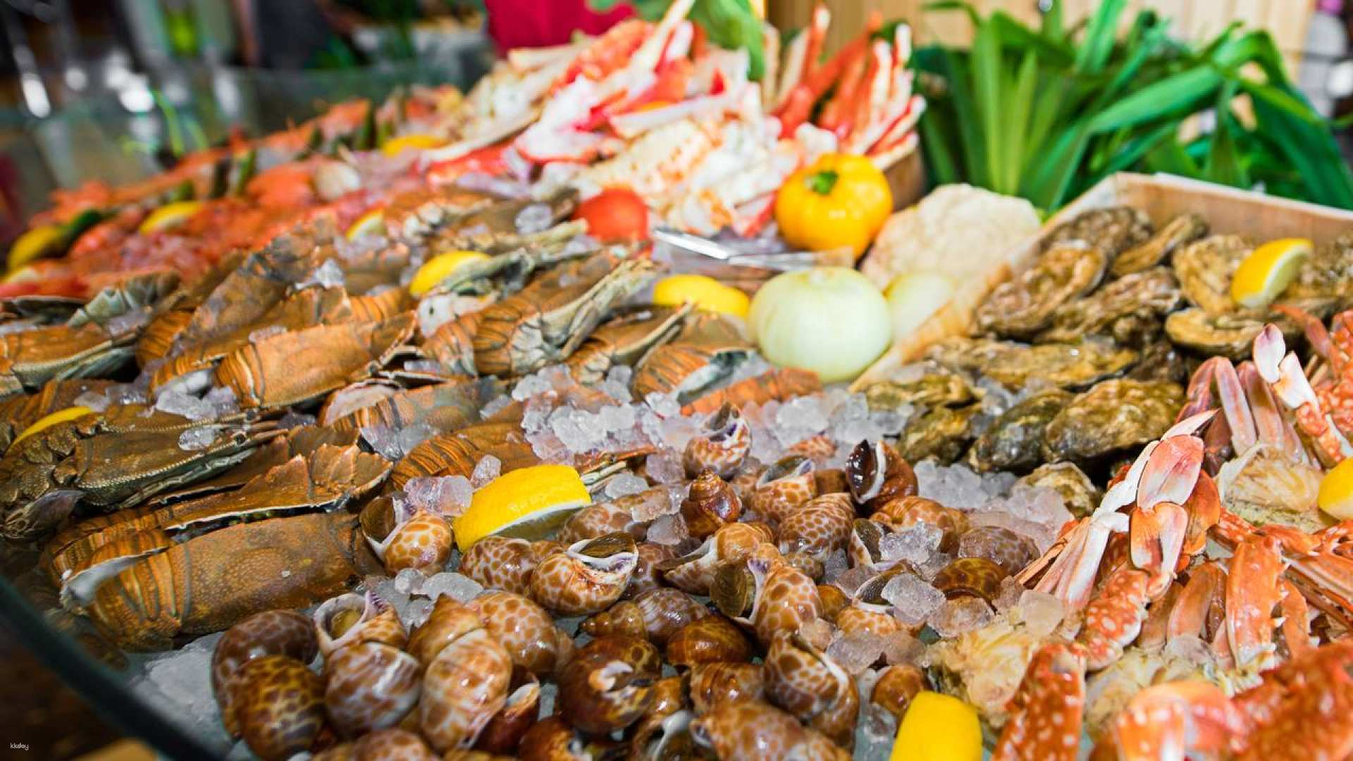 Delight in an array of fresh seafood elegantly displayed with bright accents inviting travelers to savor exquisite international flavors at Seasonal Tastes in Bangkok.