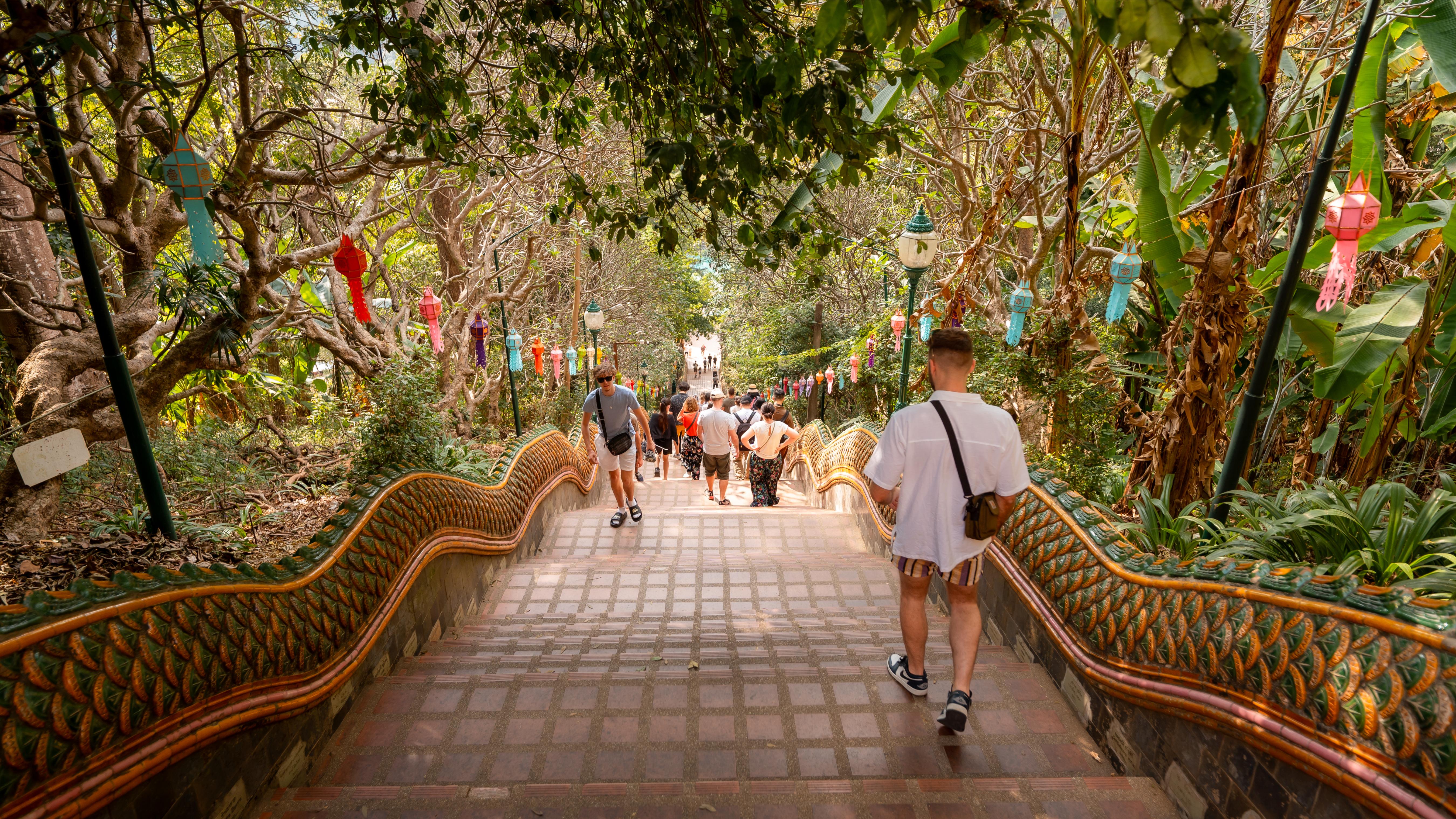 Discover a scenic pathway lined with lush greenery leading to the stunning Wat Prathat Doi Suthep where history and natural beauty blend seamlessly inviting travelers to explore and reflect.