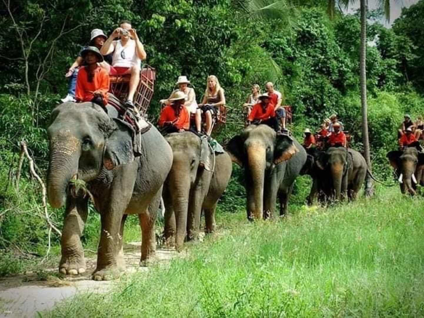 Chang Siam Krating Lai Pattaya | Thailand - Photo 1 of 10