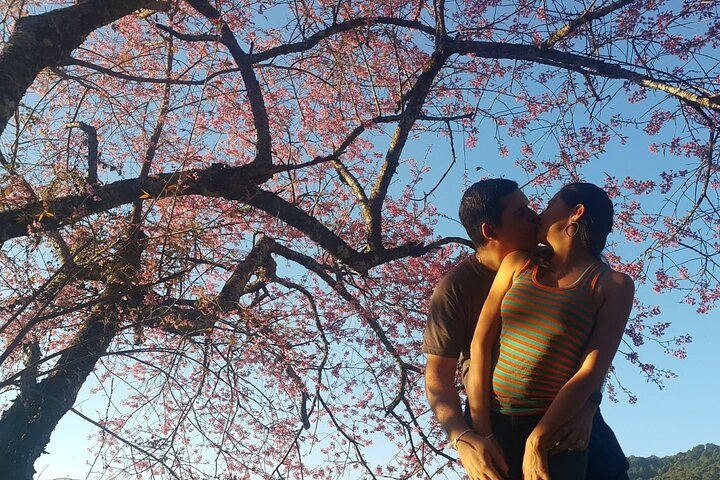 Chiang Mai 3 Mountain Jungle Trak Temple Waterfall, Suthep Temple, Opium Museum  - Photo 1 of 25