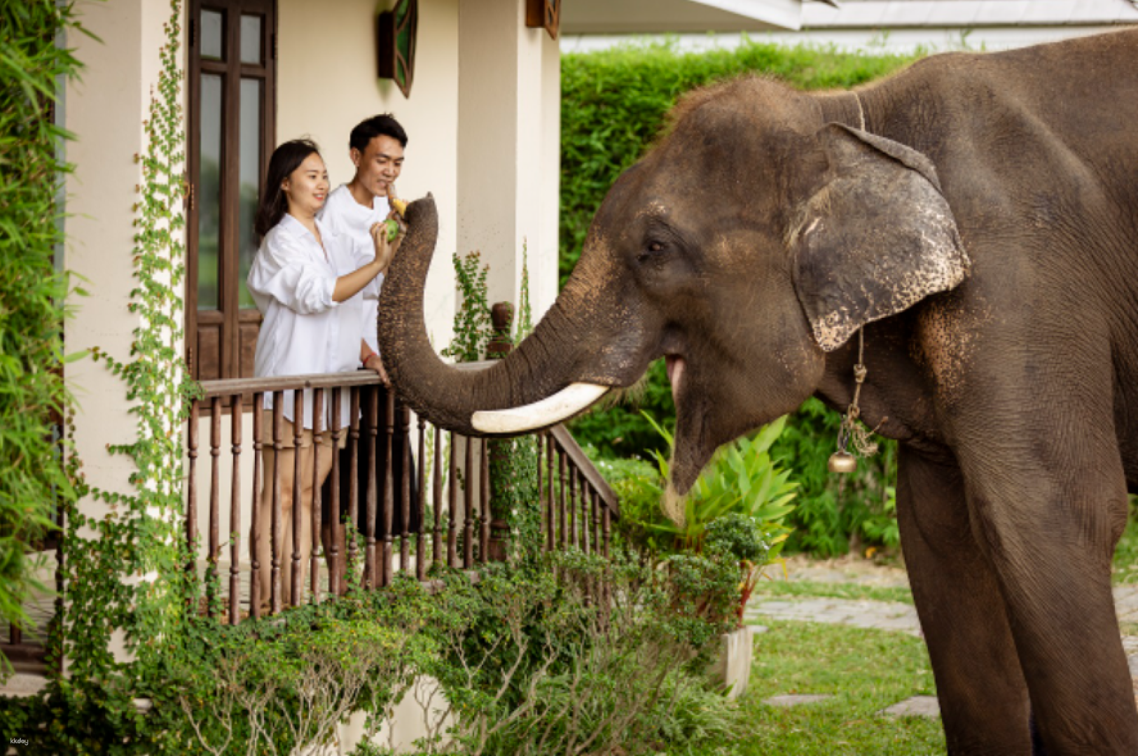 Chiang Mai Baan Satian Elephant Park 2D1N Shared Tour with Accommodation | Thailand - Photo 1 of 10