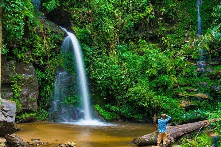 Chiang Mai - Exclusive Trek to Doi Suthep - Photo 1 of 4